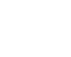 ANZ-Learning-Solutions-Logo (1)